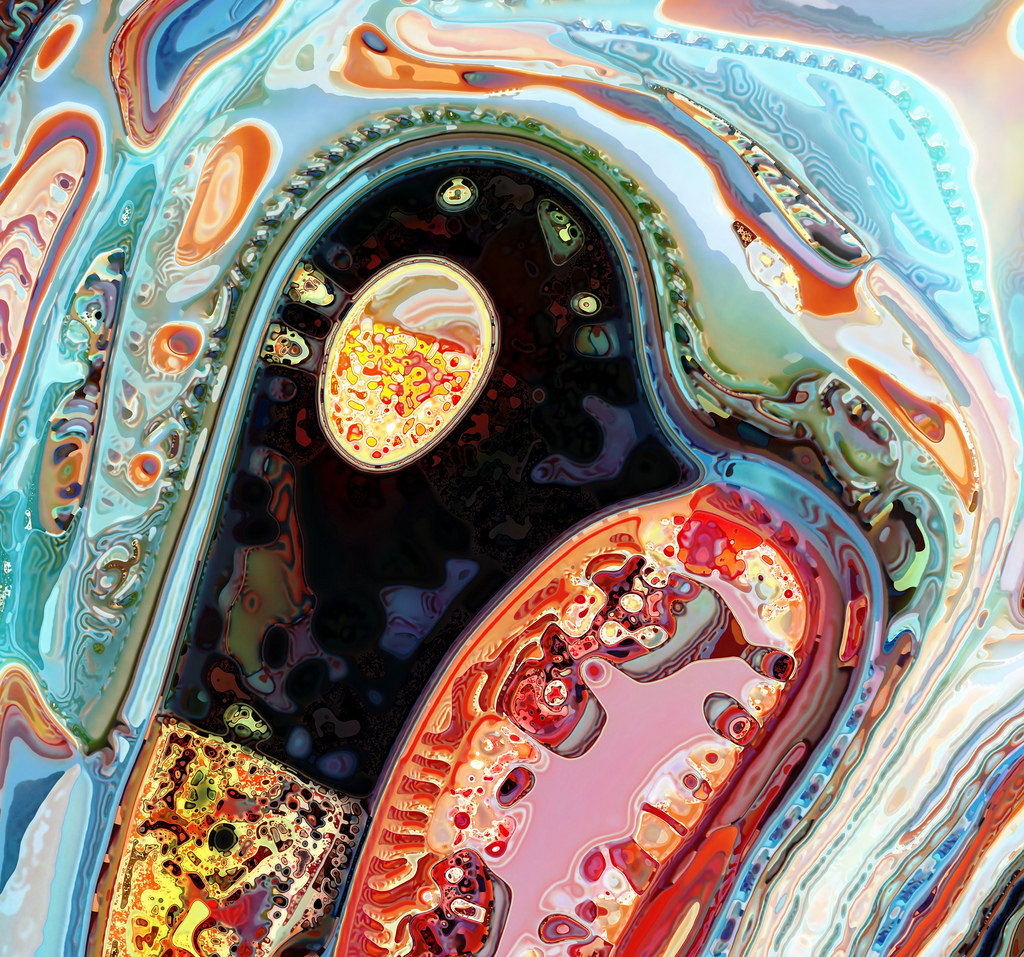 Convergence Time and Phase Transition in a Non-monotonic Family of Probabilistic Cellular Automata