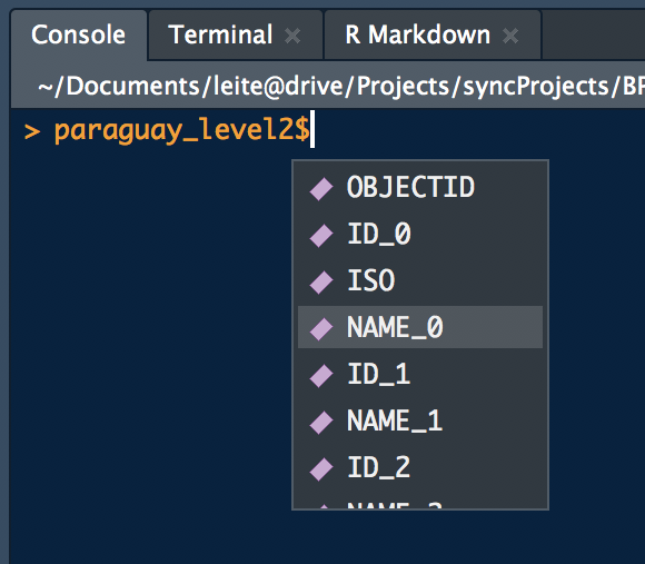 RStudio screenshot